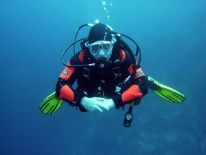 Duiken van a tot z: uitrusting, opleiding, onderwater ecologie en top duiklocaties wereldwijd